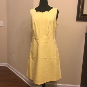 Brand new Yellow dress by The Limited